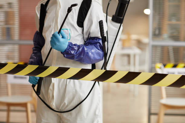 Professional Sewage Cleanup technician working in Hollister, MO